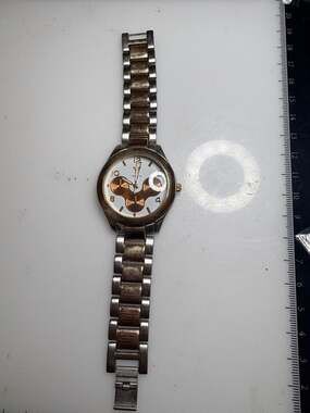 American Eagle Outfitters Men's Two-Tone Chronograph-Style Quartz Watch